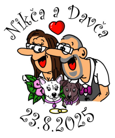 svatební Nikča a Davča 3.jpg